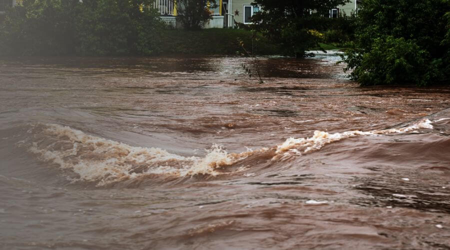 Why choose RapidAegis for water damage restoration in Whittier